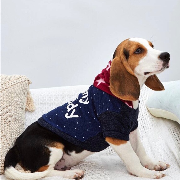 Dog sweater - Picture 2 of 5